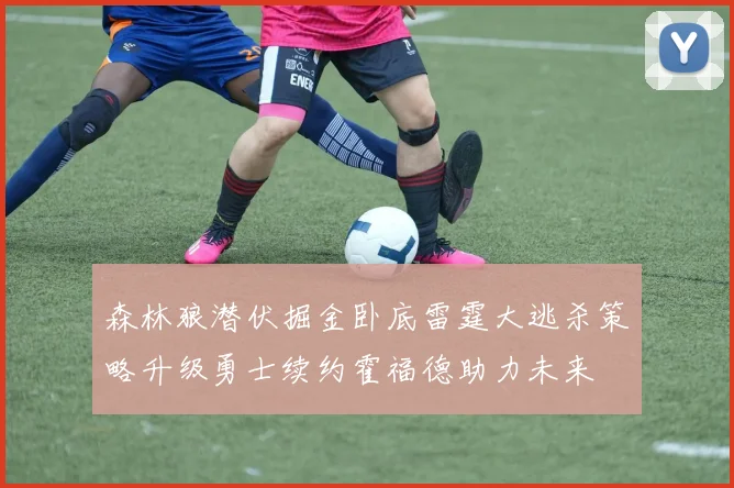 森林狼潜伏掘金卧底雷霆大逃杀策略升级勇士续约霍福德助力未来